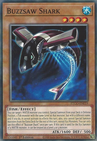 Buzzsaw Shark | ETCO-EN019